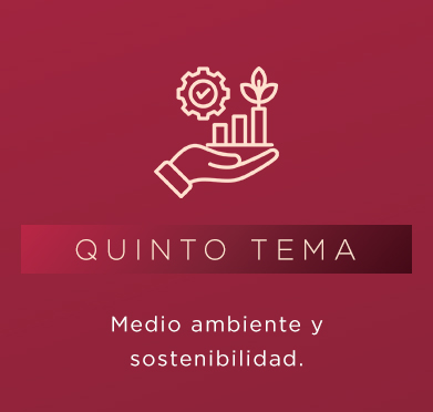 Tema 1 Mercer 5